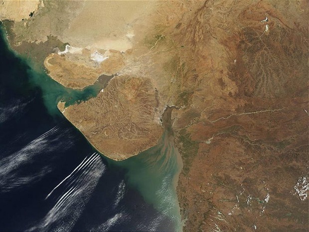 Gujarat has Longest Sea Shore and cost line