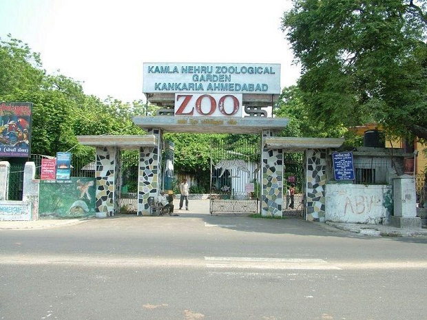 Kamla Nehru Zoological Garden - Zoo in Ahmedabad