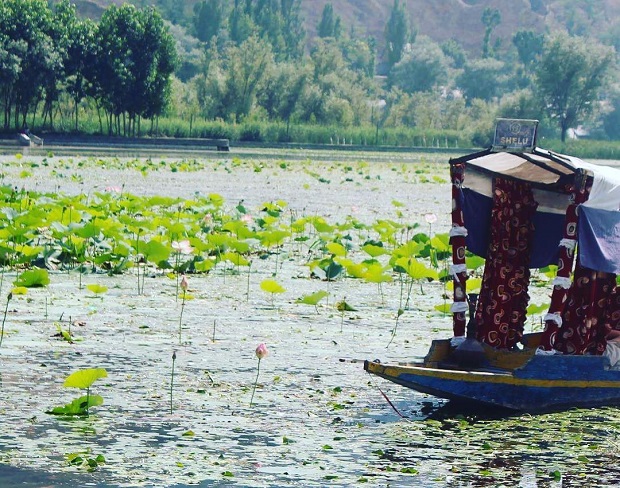 Manasbal Lake Srinagar