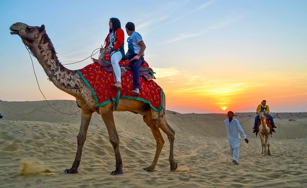 camel safari - Things to do in Jaisalmer