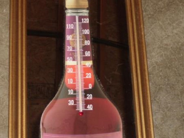 Brandy Thermometer