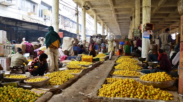 Azadpur Mandi Vegetable Market Delhi