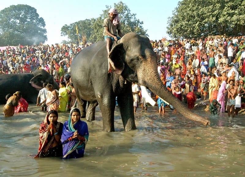 asia largest cattle fair bihar