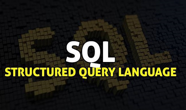 sql-means-structured-query-language