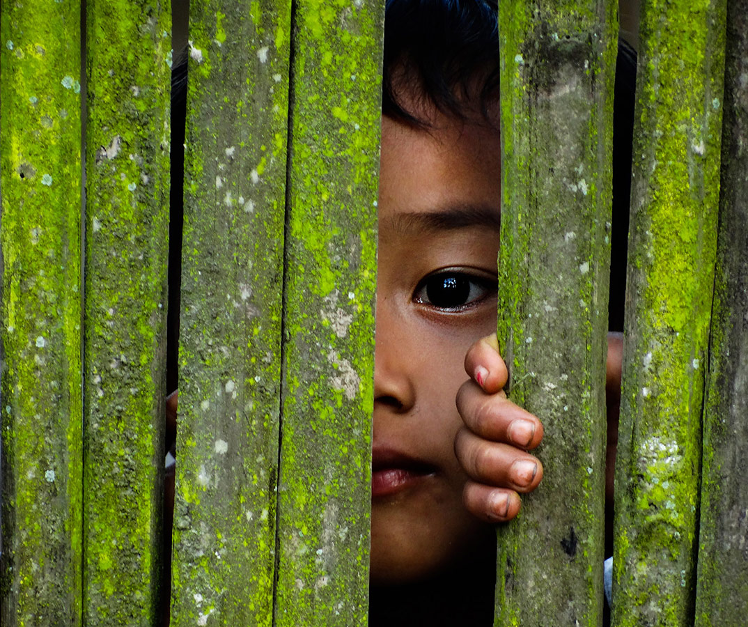 Assam - Peeping eye