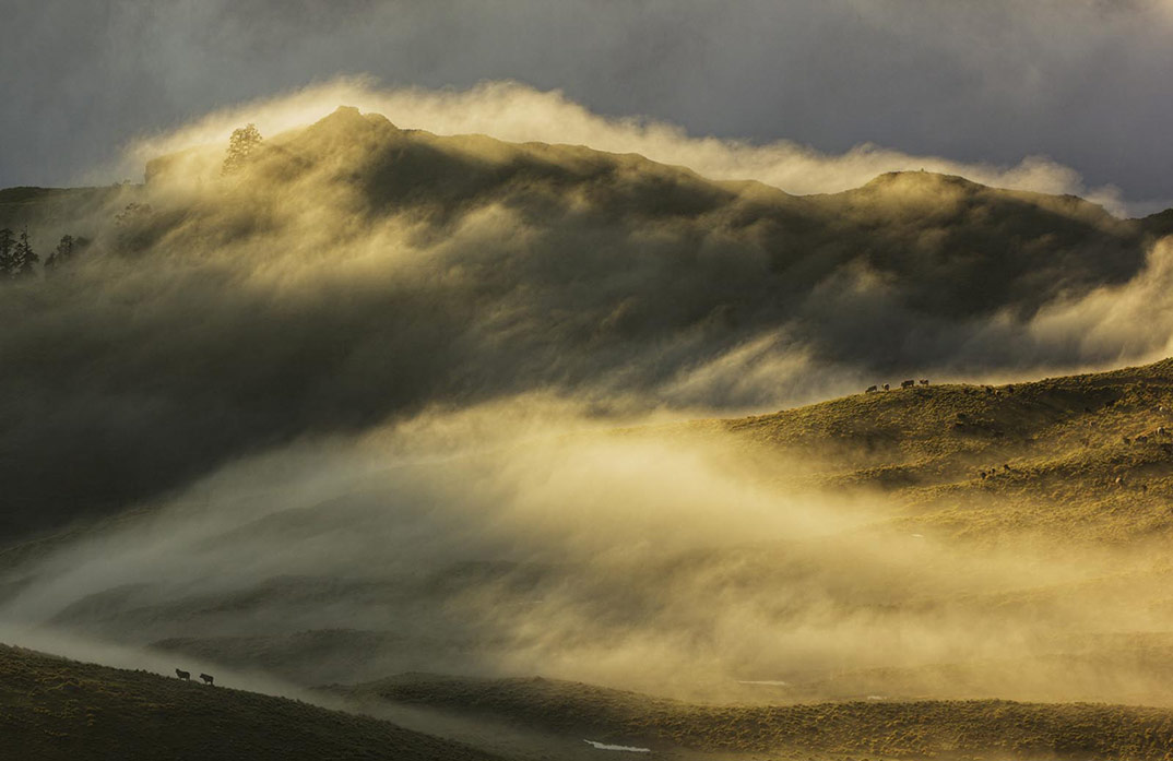 Uttarakhand - The Grand Himalayas