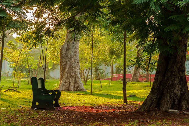 Botanical Garden Pondicherry