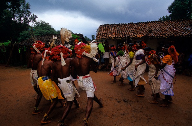 Muria tribe chattisgarh unusual sex custom