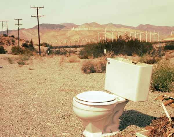 First Flush Toilet were used in the Indus Valley Civilization