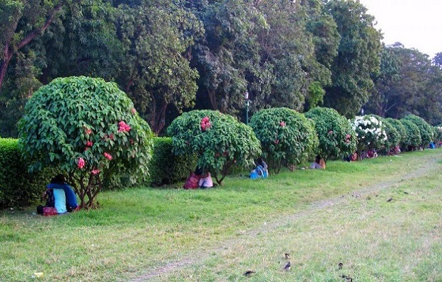 Indian couples making out in park