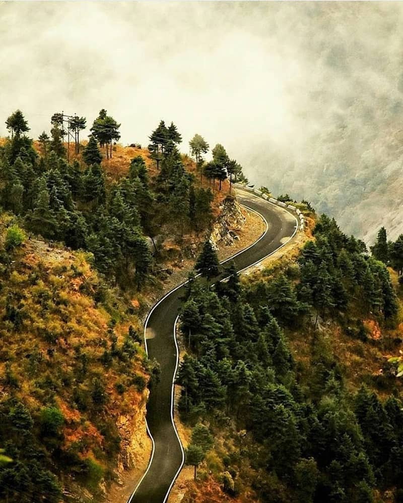 Best Roads in India Mussoorie Dhanaulti