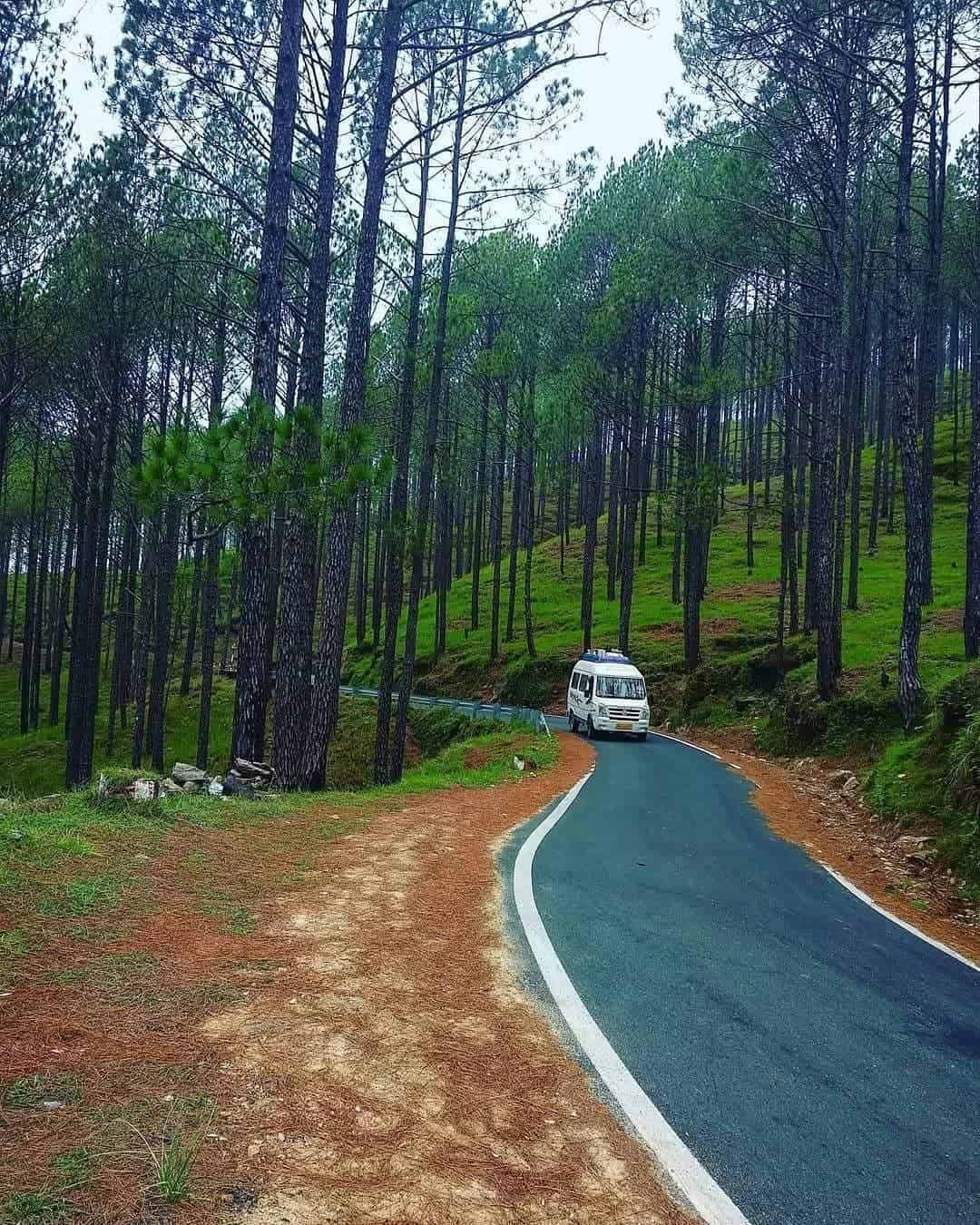 Chaukori - Unexplored Hill Station in North India