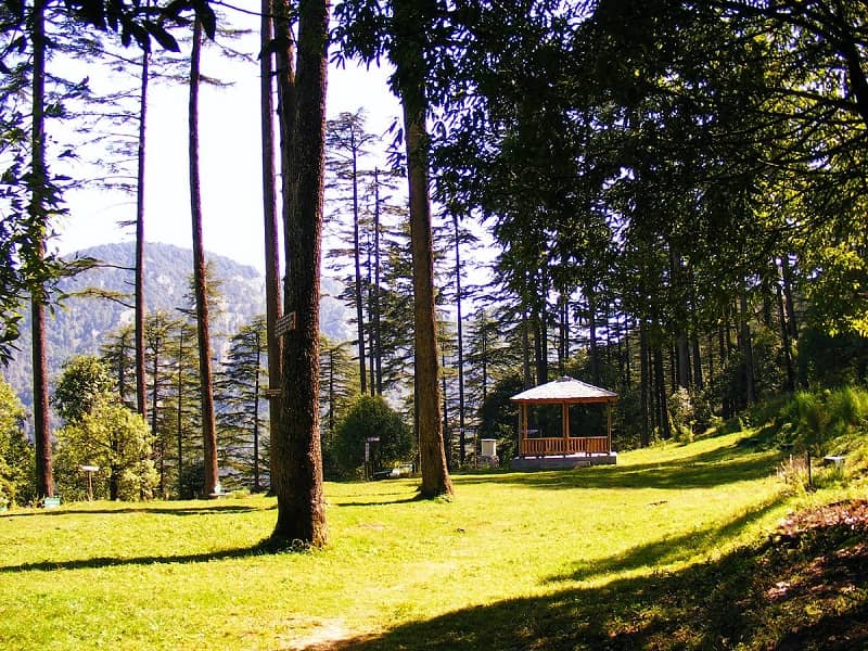 Dhanaulti - Offbeat hill station near Delhi