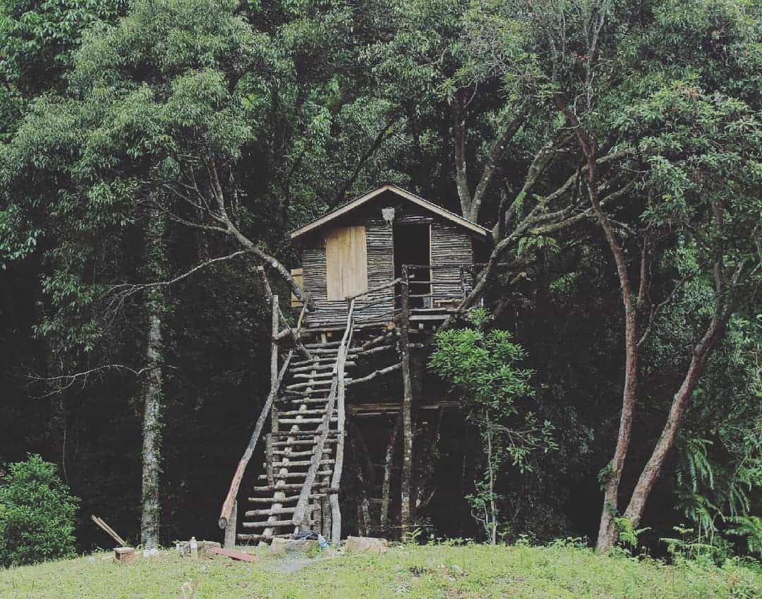 Dzuleke Nagaland - Tree house