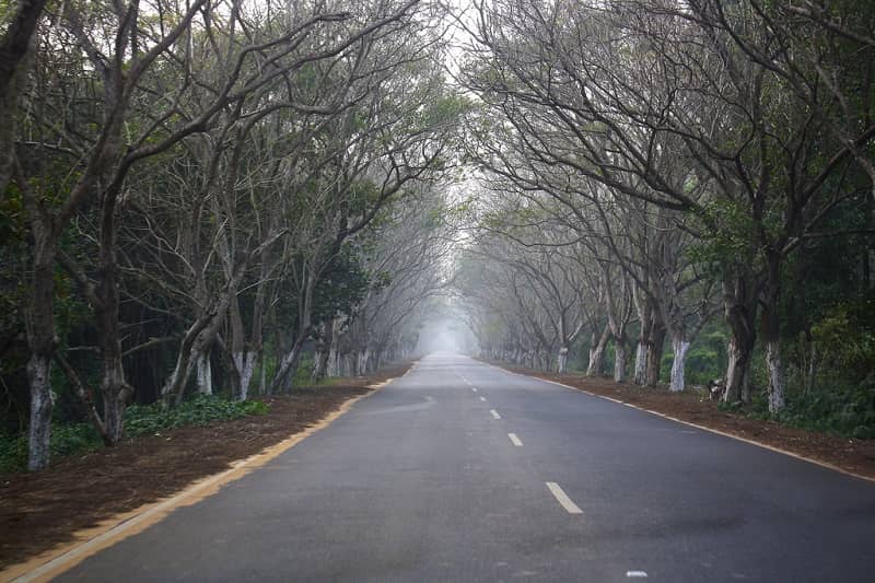 Konark Puri highway