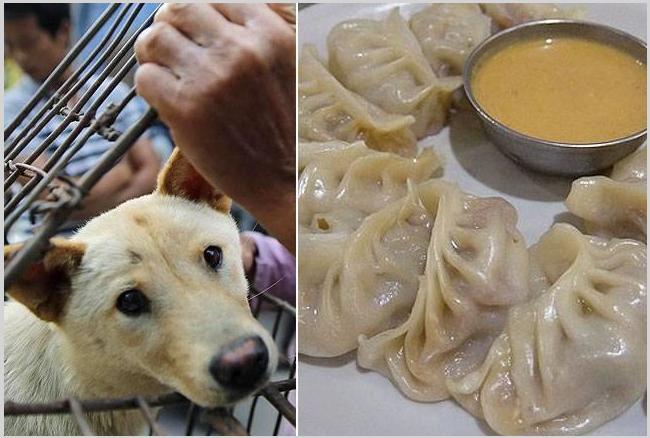 Momos may have dog meat