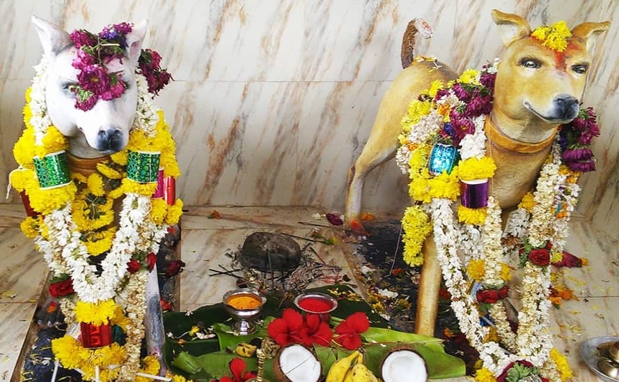 The Dog Temple, Karnataka