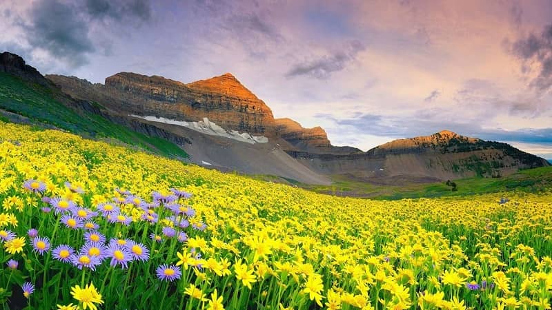 Valley of Flowers National Park - World heritage in Uttarakhand
