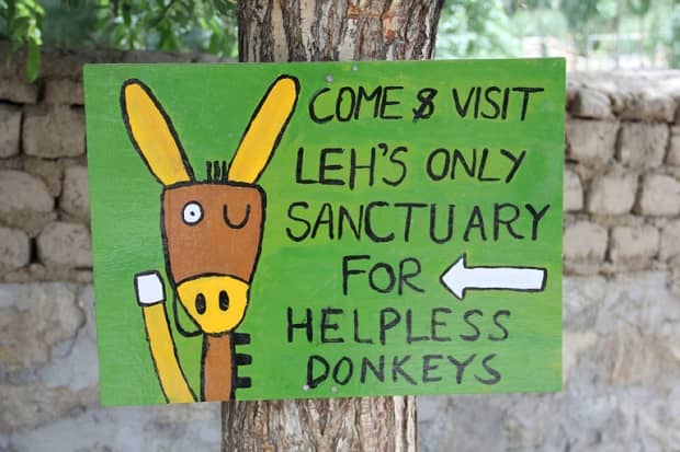 Donkey Sanctuary Places to see in Leh