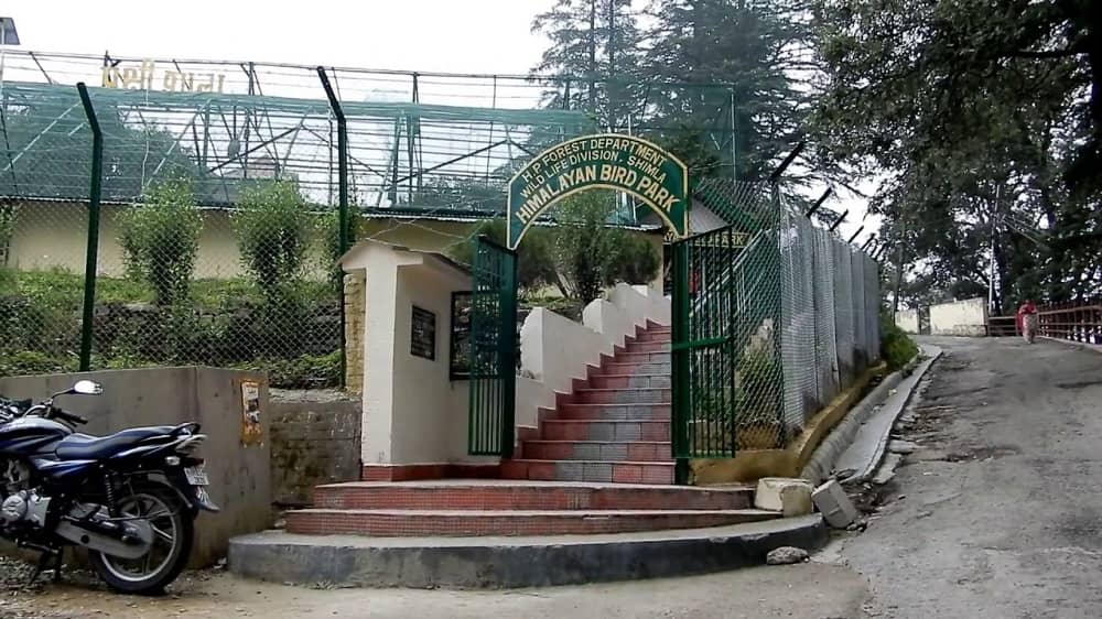 Himalayan Bird Park Shimla