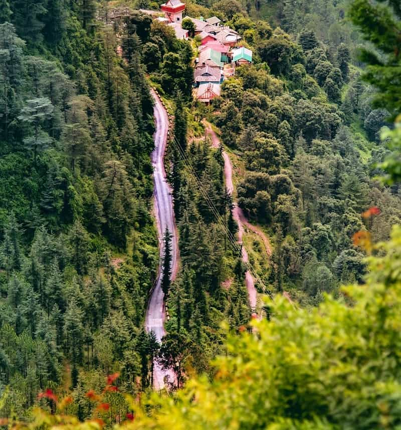 Shimla Tourism- Mashobra Shimla