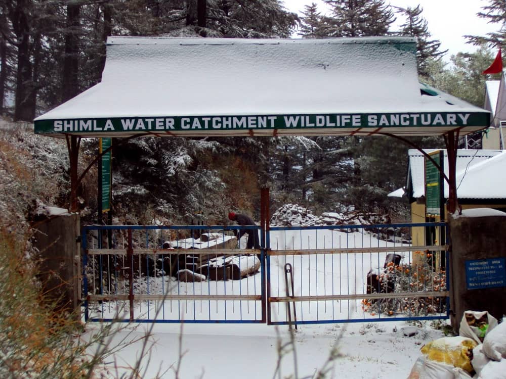 Wildlife Sanctuary In Shimla- Water Catchment Sanctuary