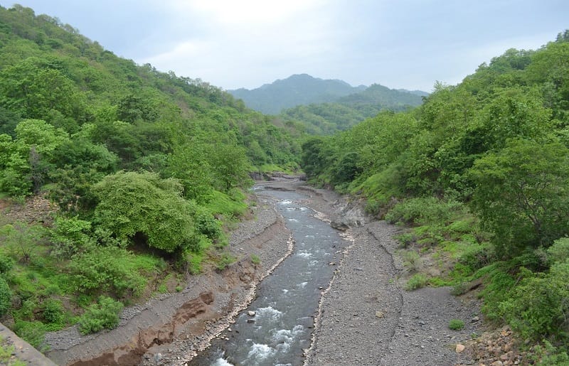 About Sardar Sarovar Dam - Shoolpaneshwar Wildlife