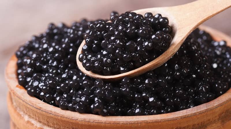 Beluga Caviar Banned in USA