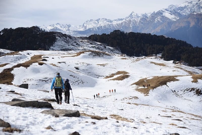 Kuari Pass Trek Uttarakhand