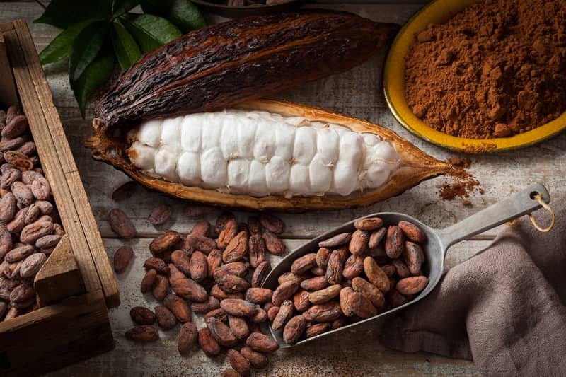 Mayans used Cocoa bean as currency