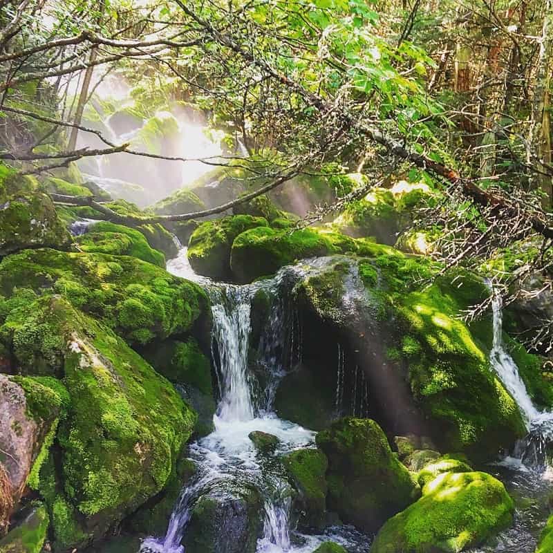 Mossy Falls Mussorie