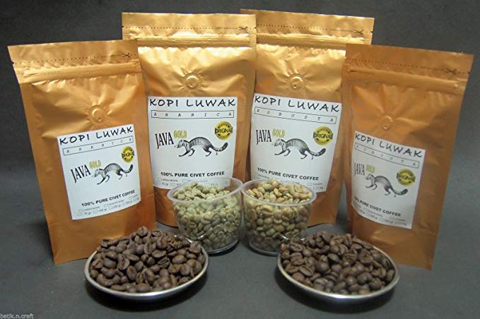 Most Expensive Coffee - Kopi Luwak