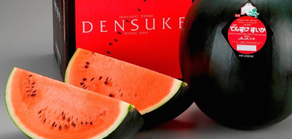 Most Expensive Fruits in the World - Densuke Watermelon