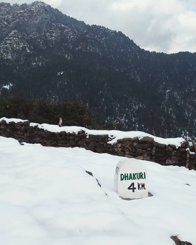 Pindari Glacier Trek Uttarakhand