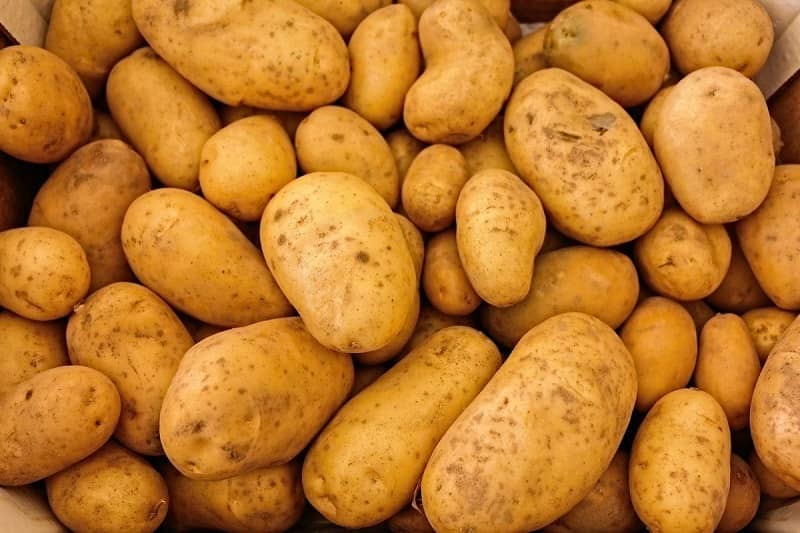 Potatoes are used to test Wifi signals