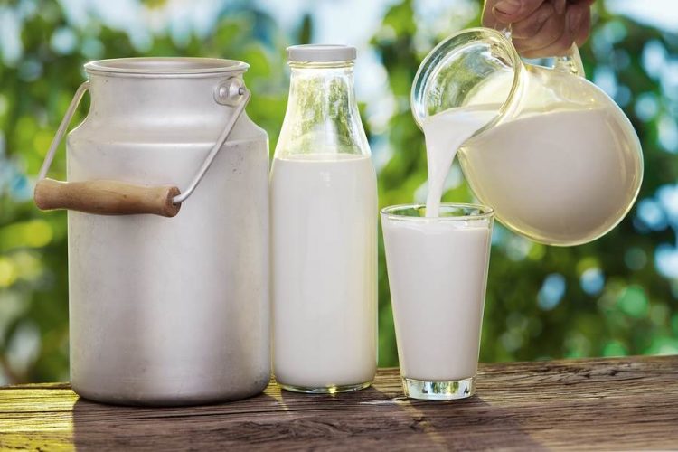 Raw Milk banned in USA ,Canada