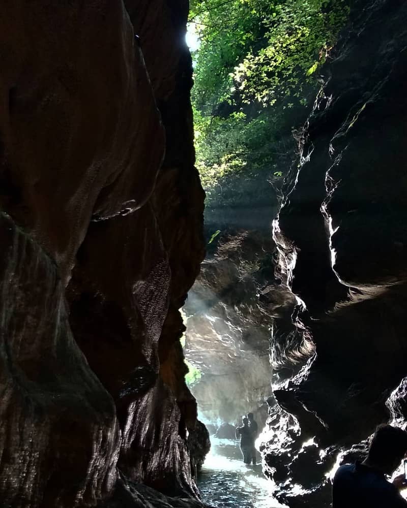 Robber's Cave Dehradun