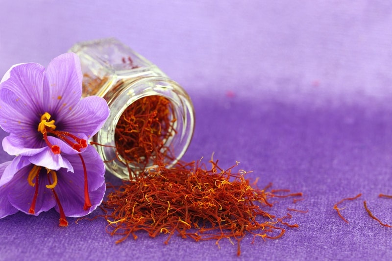 Saffron the Most Expensive Spice