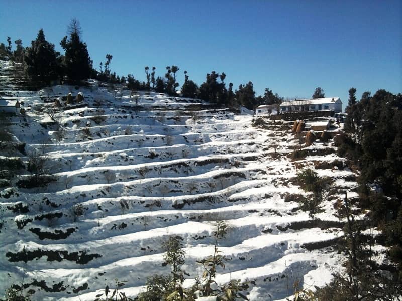 Snowfall in Almora