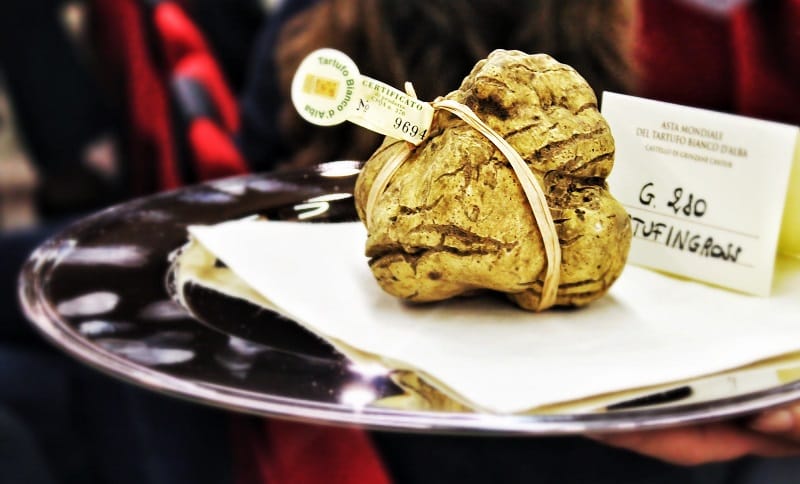 expensive White Truffles