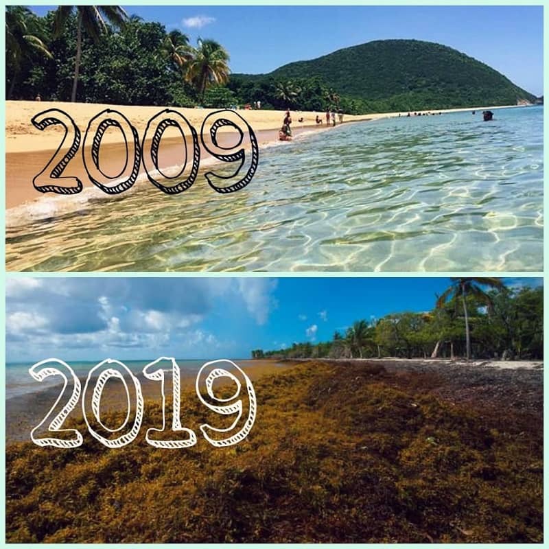 10-year challenge sea beach