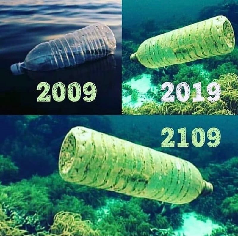 10yearchallenge Enviornment