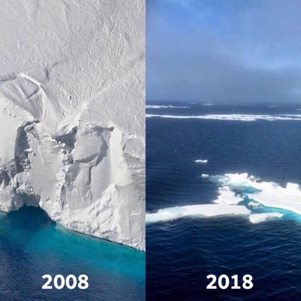 10yearchallenge Nature