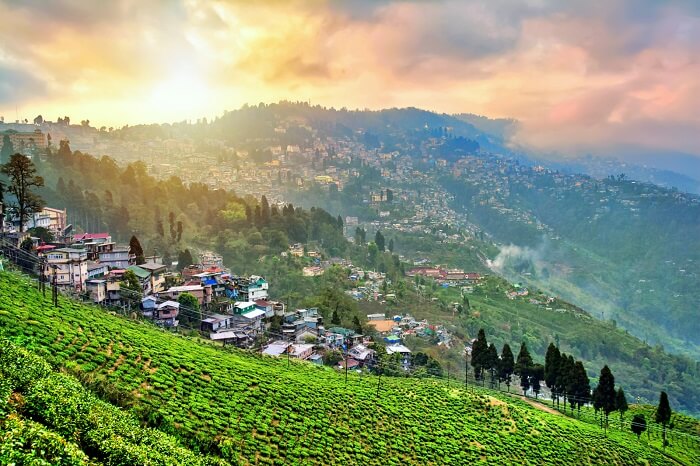 Things to do in Darjeeling