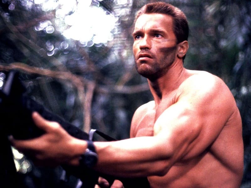 Arnold Schwarzenegger rejected for hulk