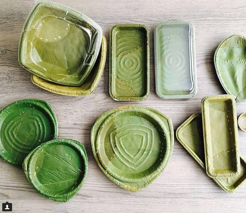 Biodegradable leaf plates