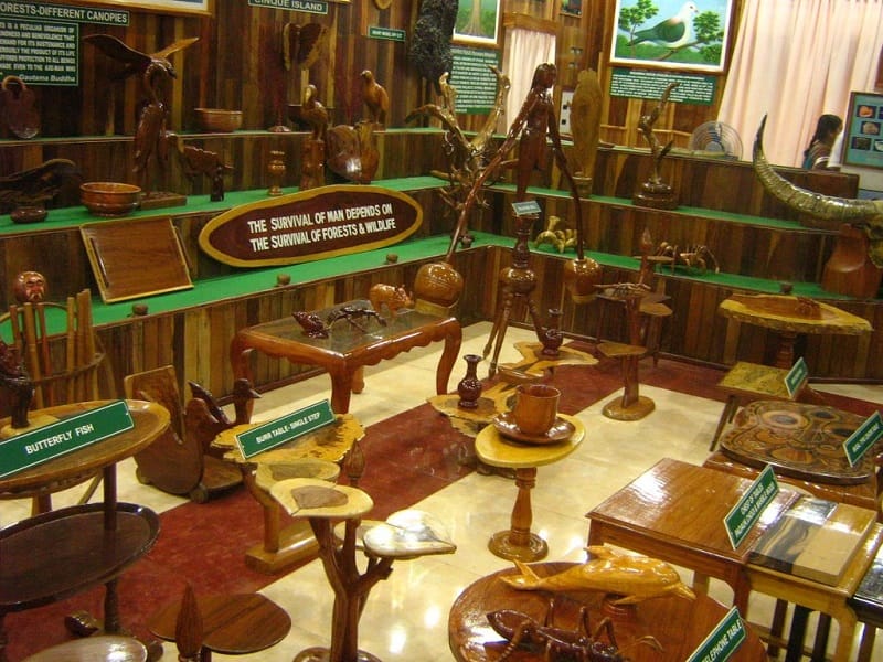Forest Museum in andaman