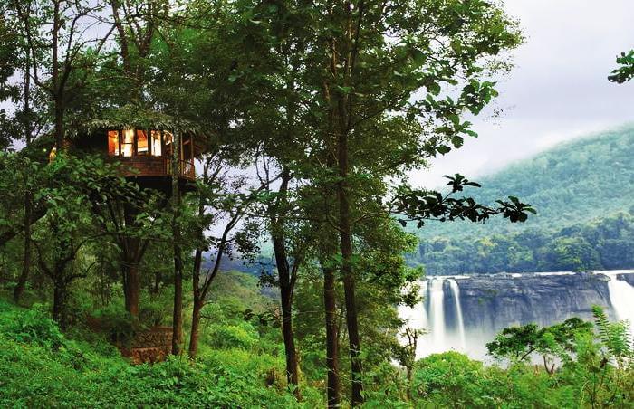 Rainforest Tree House kerala