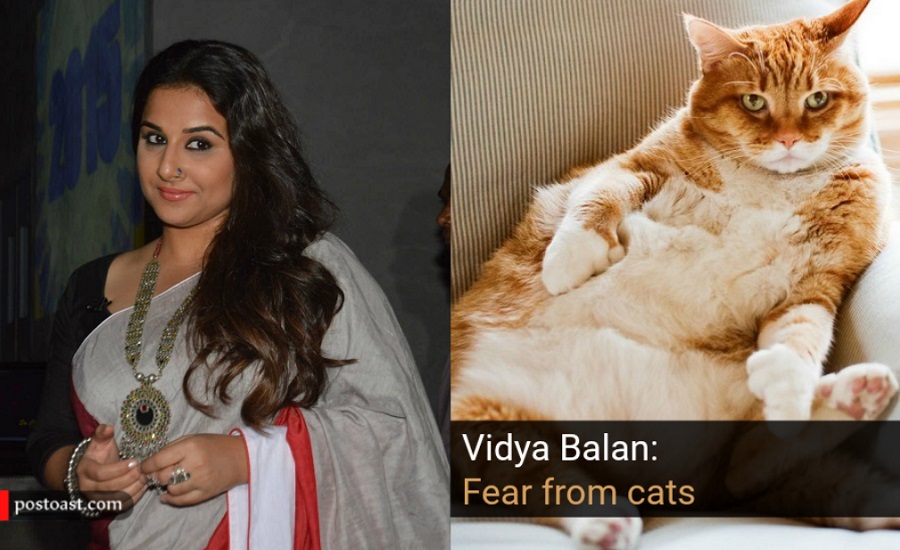 Bollywood phobias - Vidya Balan has Fear of Cats