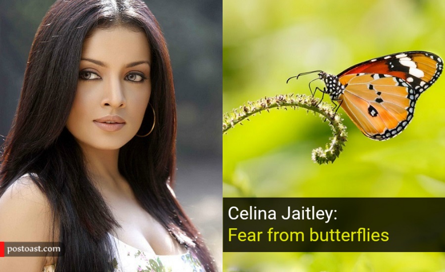 Celina Jaitley has Fear of Butterflies- celebrities phobias